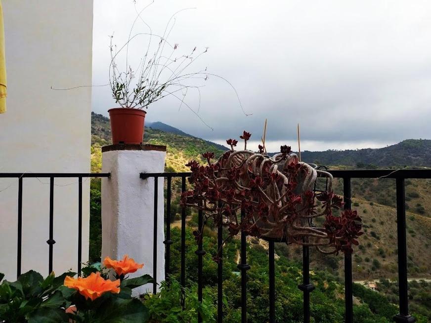 Posada Puente Romano Sedella Luaran gambar
